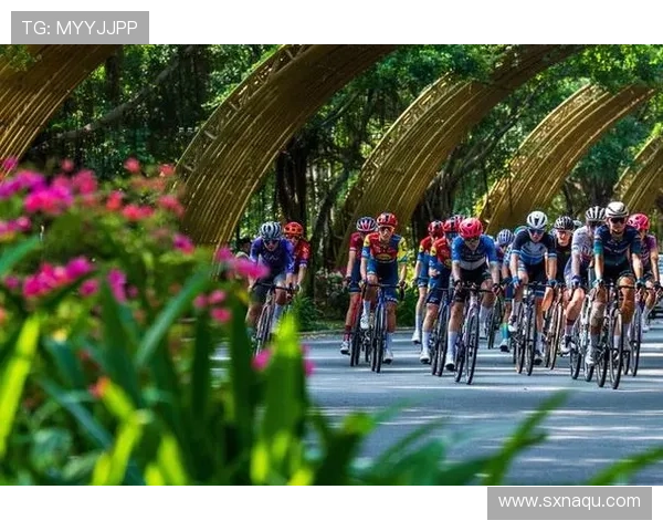 广西环法自行车赛北海（环广西自行车赛2019南宁段）sports